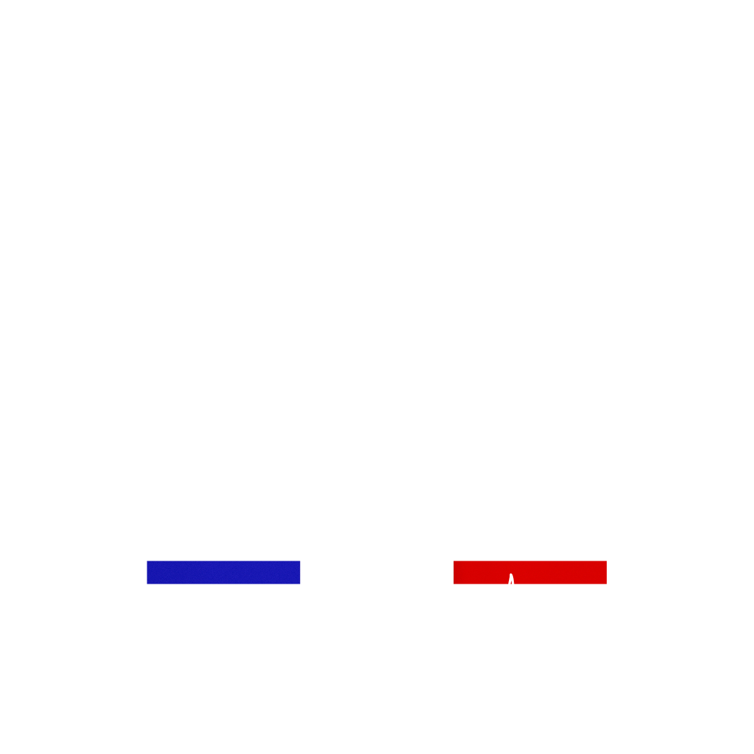 Le Repas du Chef